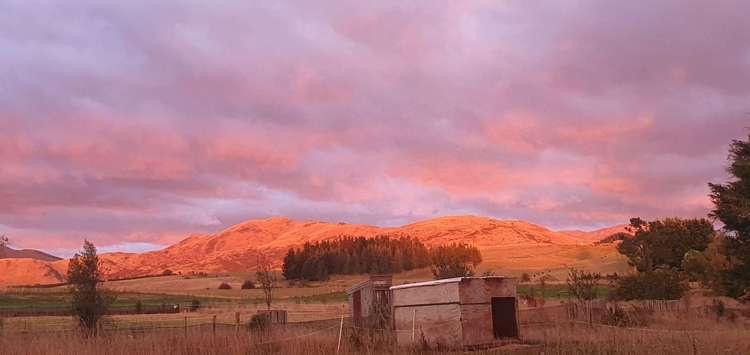 5563 West Coast Road Springfield_17