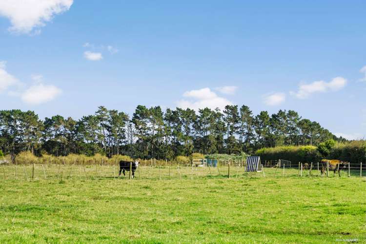 31 Martyn Wright Road Mauku_21