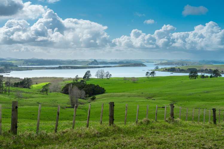 450 Neems Road Matakohe_10