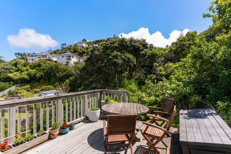 38 Rakau Road Hataitai_13