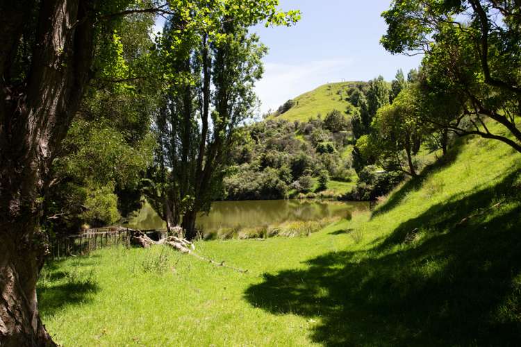 261a Roberts Avenue Aramoho_11