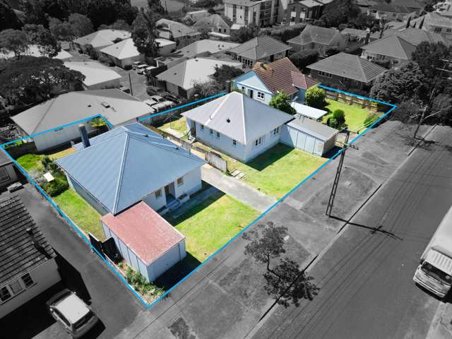 16 Tasman Avenue Mount Albert_1