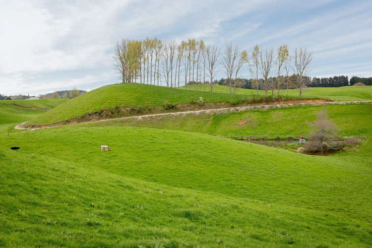 936 Pongakawa Bush Road Pongakawa_20