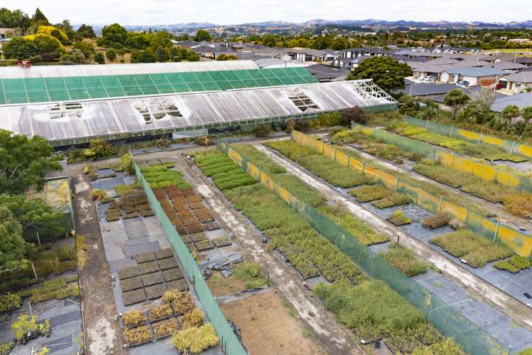 188 Jutland Road Pukekohe_5