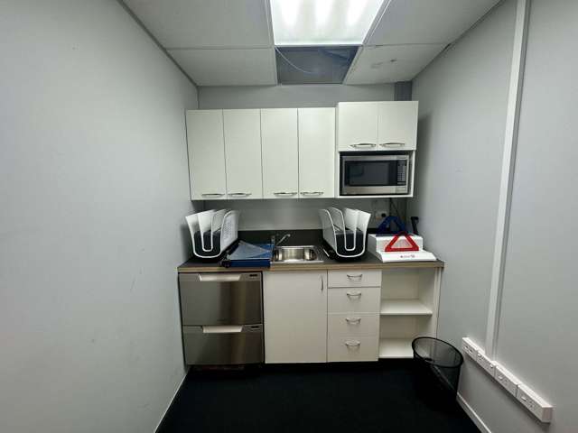 2 Heather Street Parnell_4