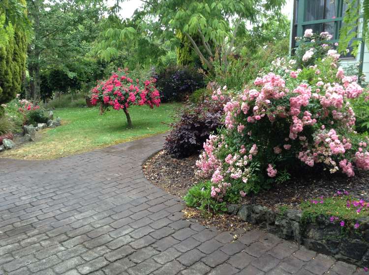 401 Taratara Road Kaeo_30