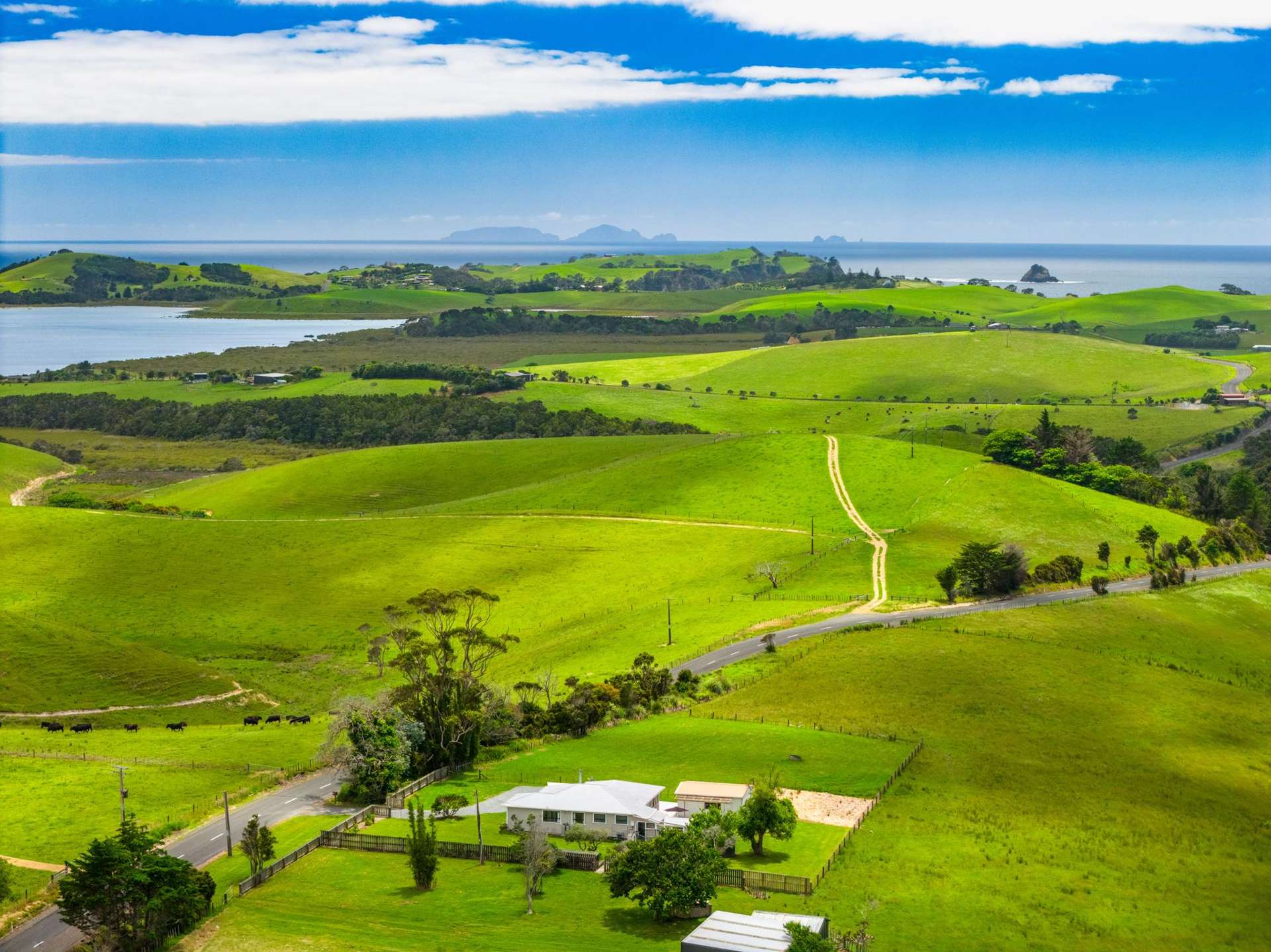 292 Taiharuru Road Taiharuru_0