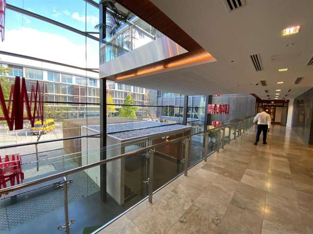 15 Nicholls Lane Parnell_3