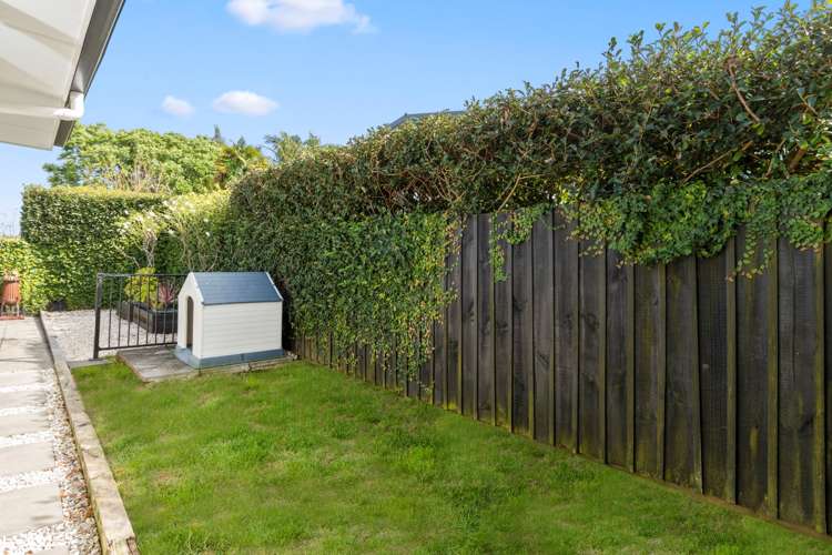 26a Churchill Road Judea_21