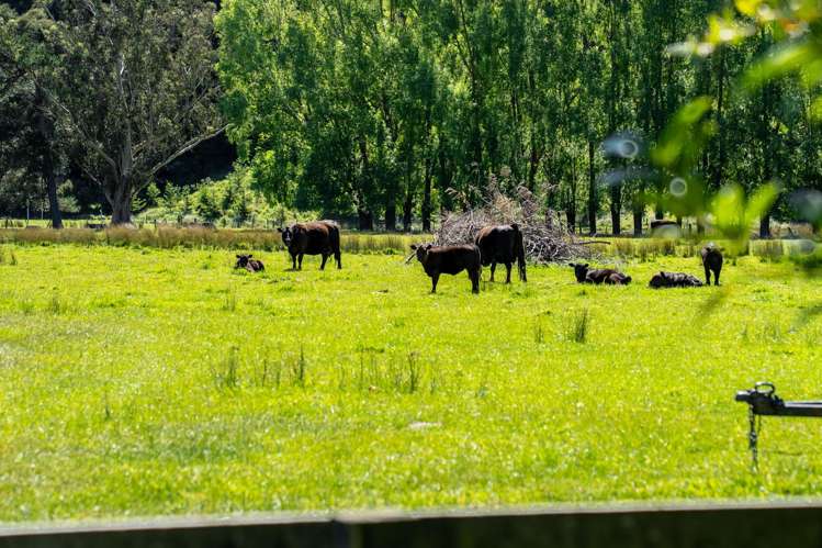 Lot 3/648 Homewood Road_5