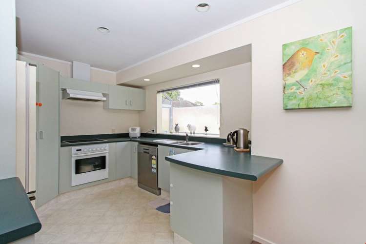 174 Hutchinson Avenue New Lynn_8