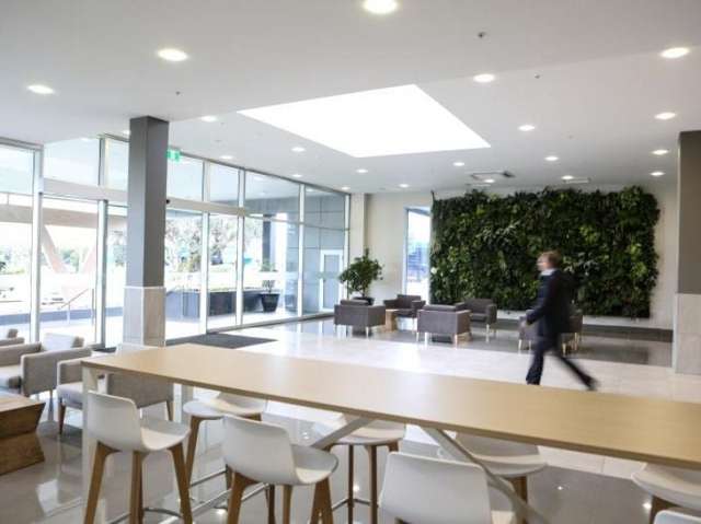 45 O'Rorke Road Penrose_2