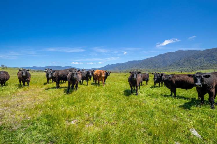 153 Quartz Range Road Bainham_24