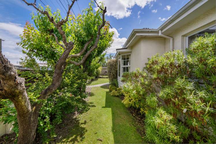 47 Killarney Street Alexandra_19