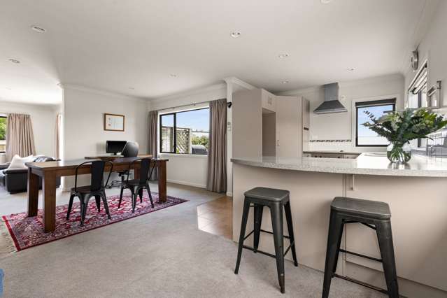 95 Middle Road Havelock North_4