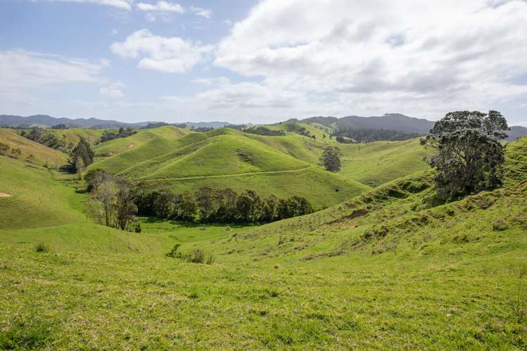 Lot 1 Rockell Road Whananaki_28