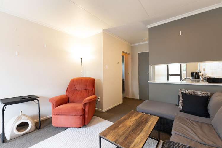 31b Morris Street Hokowhitu_3