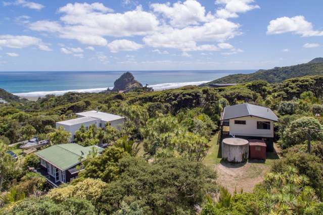 130 Seaview Road Piha_1