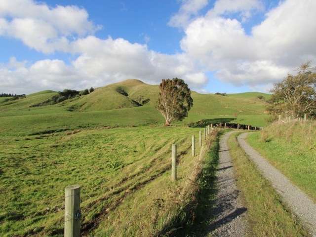 300 Nireaha Hukanui Road Eketahuna_1