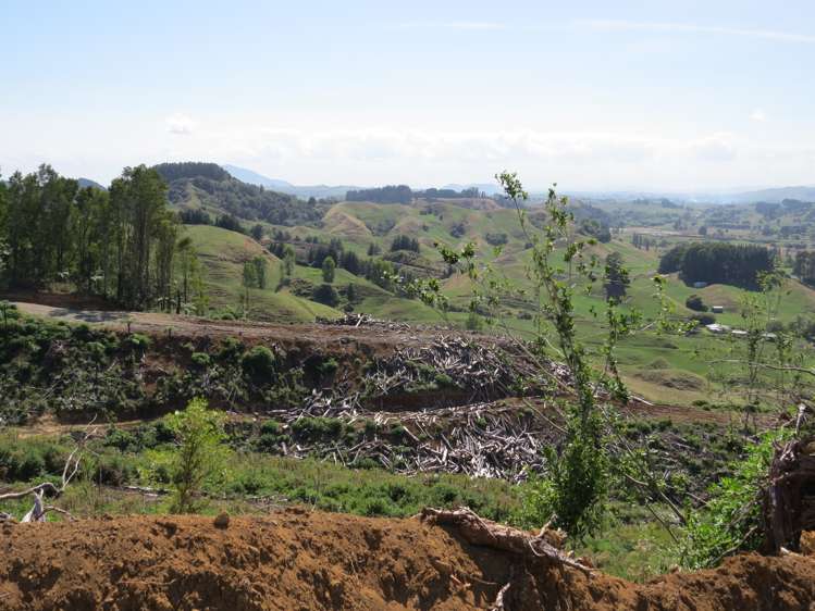 Waitomo Valley Road Otorohanga_14