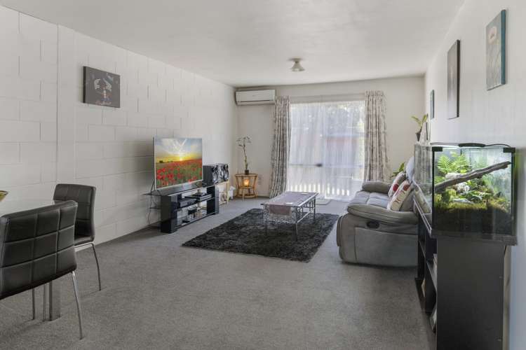 4/59 Green Street Tahunanui_5