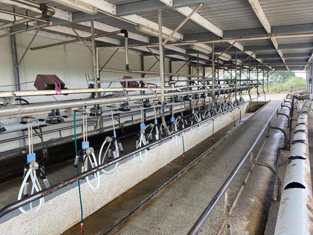 312 Grahams Beach Road Manukau Heads_4