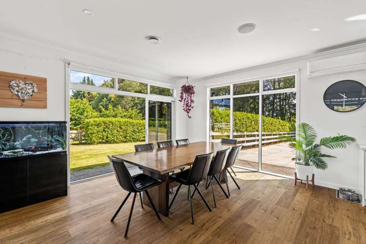 240A Blueskin Road Brunswick_10