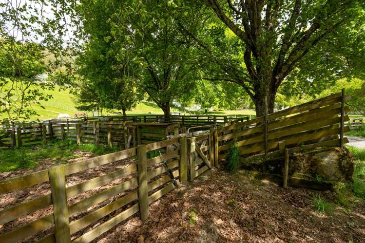 2323 Motueka Valley Highway Ngatimoti_35