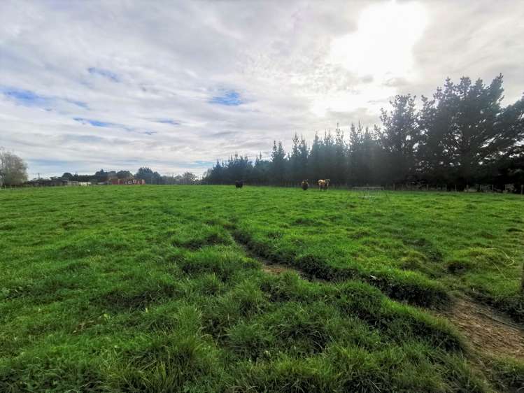 602 Awahuri Feilding Road Awahuri_19