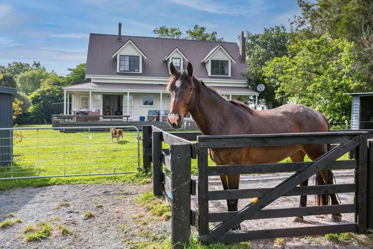 449 School Road Tomarata_31