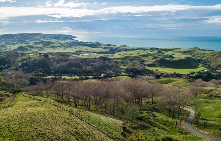 1504 Waimarama Road Waimarama_8