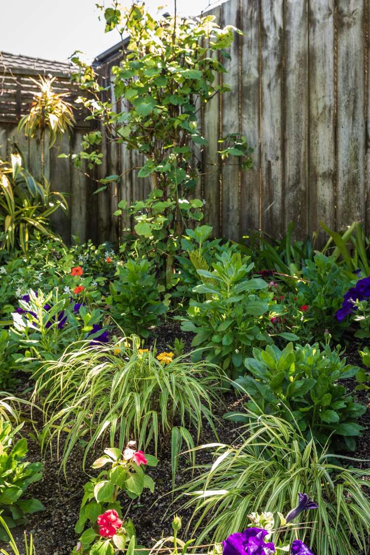 98 Koutunui Road Athenree_25