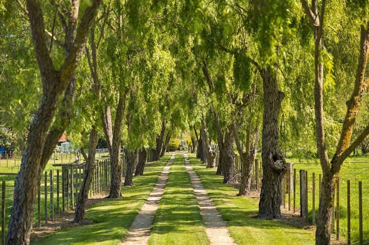 70 Montgomery Road Westmere_4