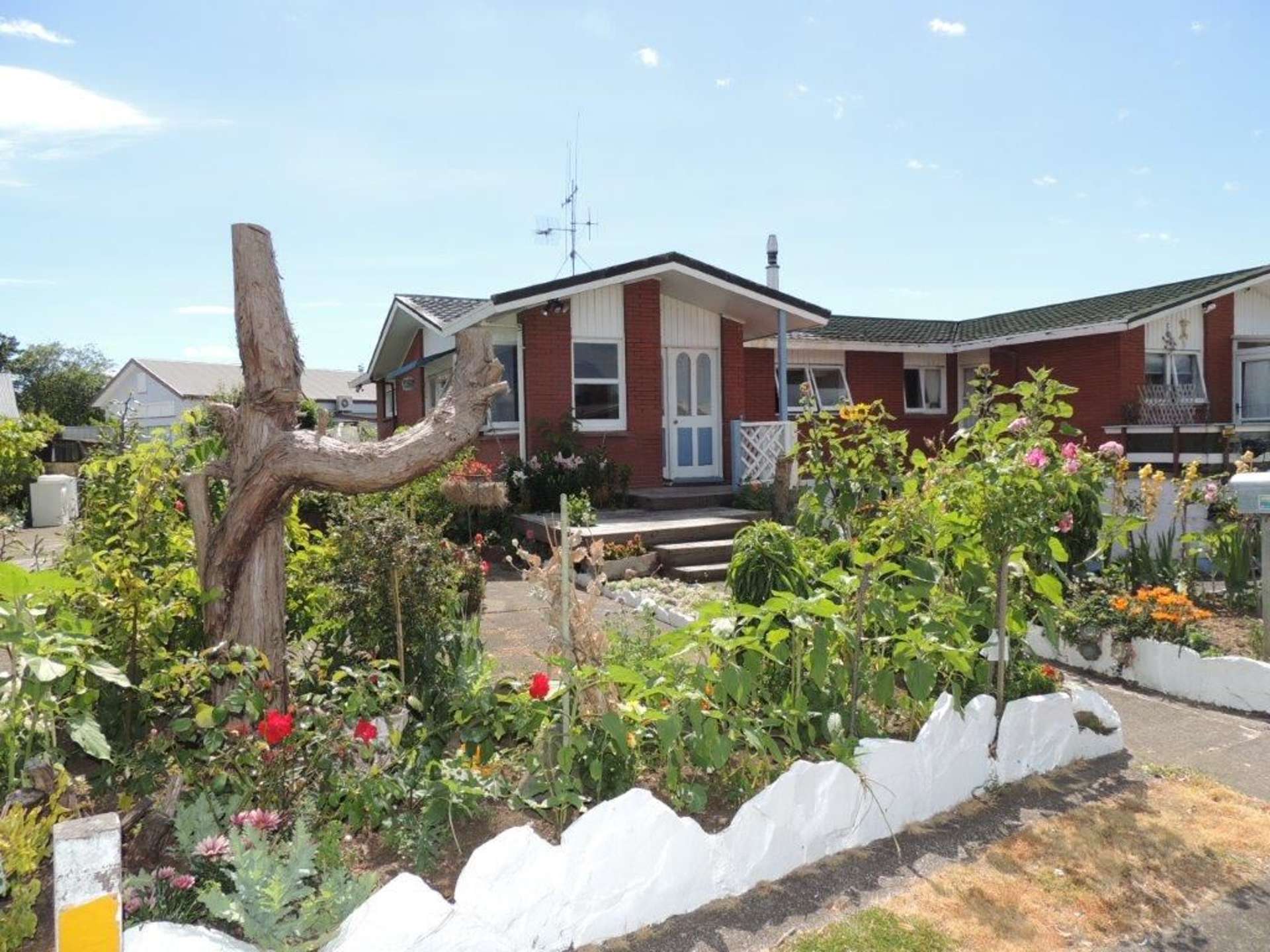 6a Park Street Morrinsville_0