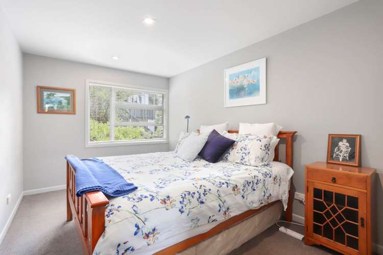 48a Belfast Street Hillsborough_18