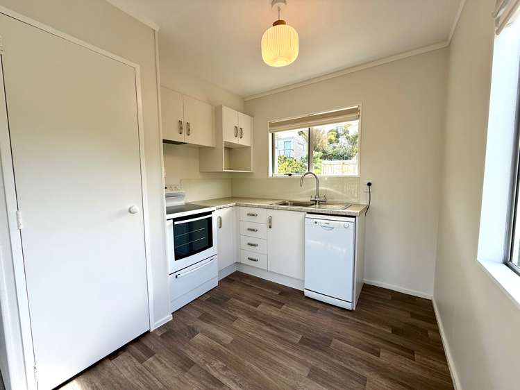 7B Rose Street Raglan_6