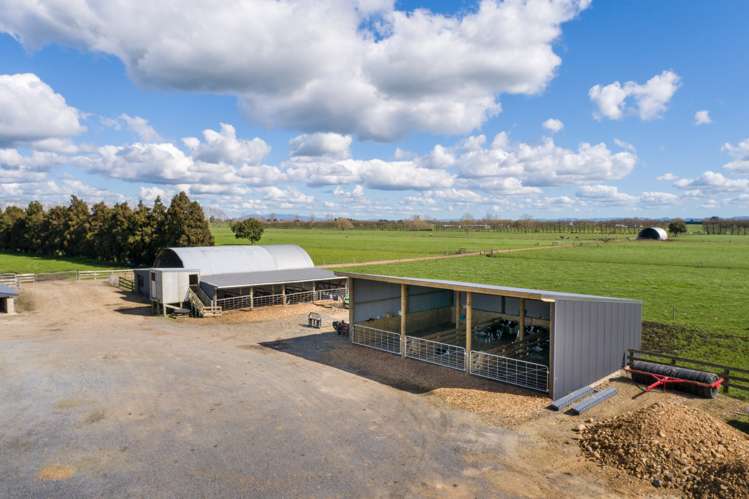 768 Piako Road Gordonton_7