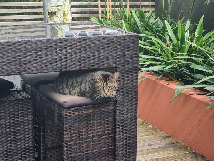 1b/4 Fisher-Point Drive Auckland Central_0