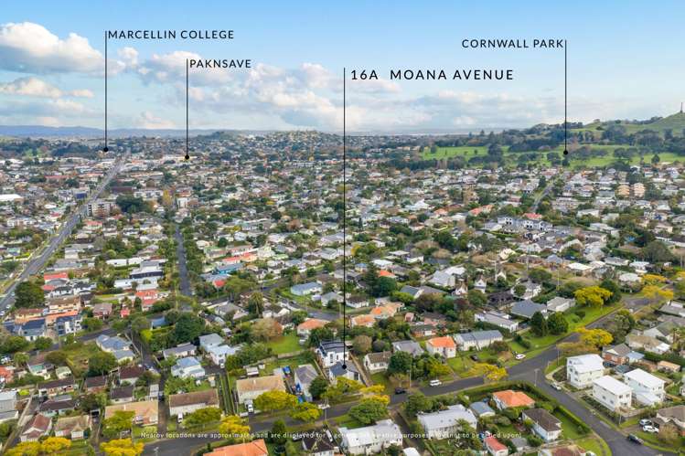 16 Moana Avenue One Tree Hill_30