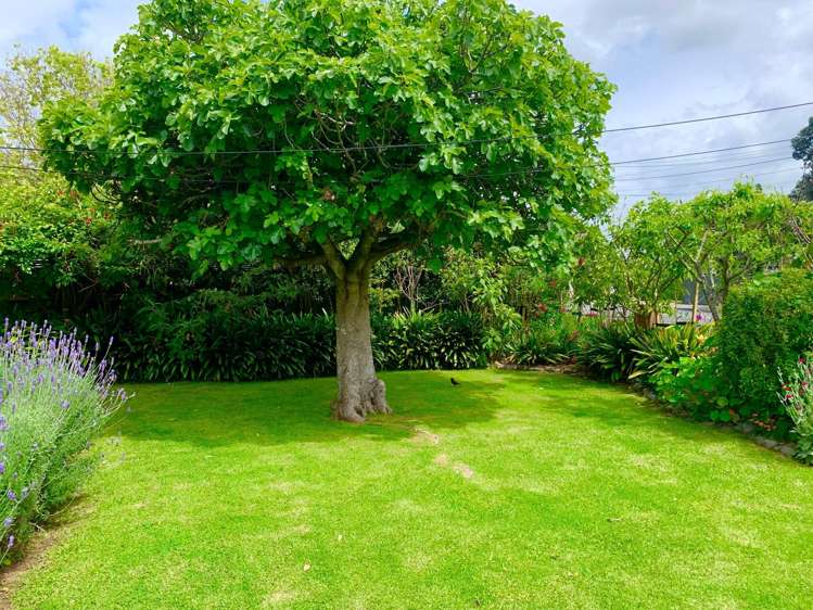 Address withheld Mangere Bridge_8