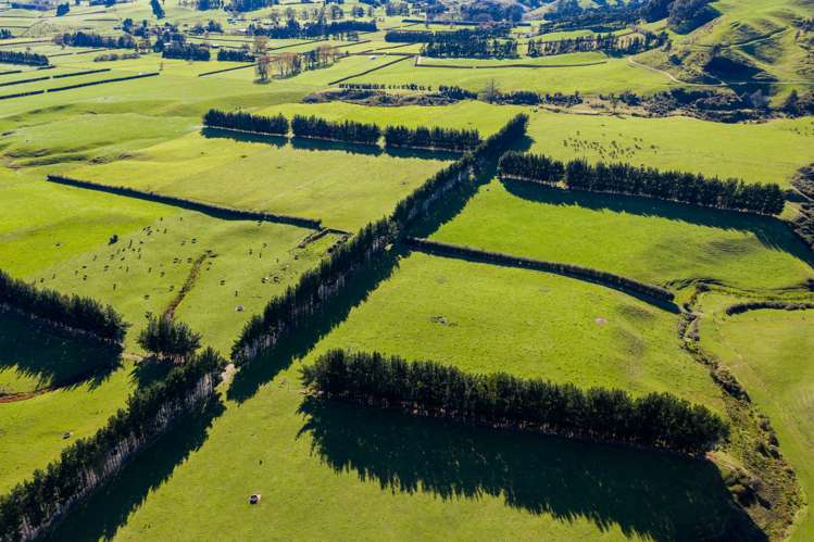 87 Mathers Road Waihi_7