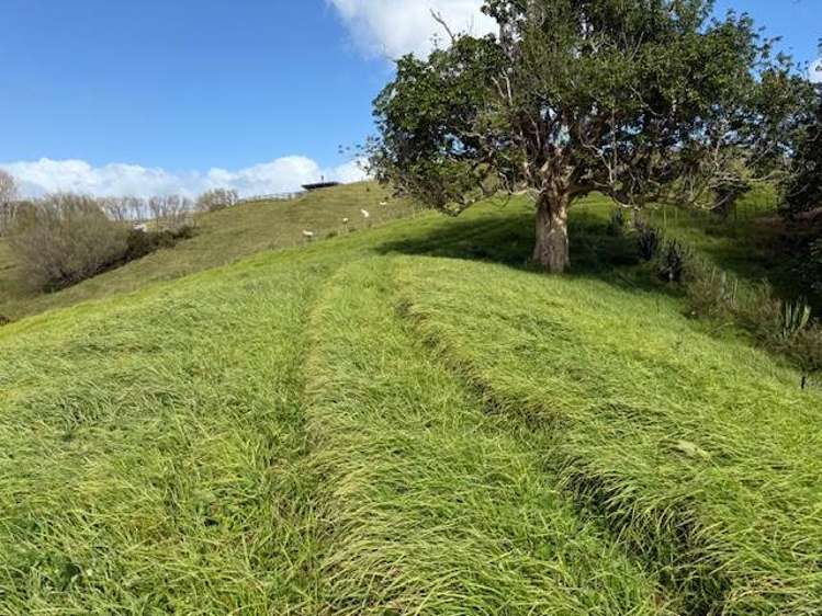 Lot 3/101 Brooklands Way Kaiwaka_16