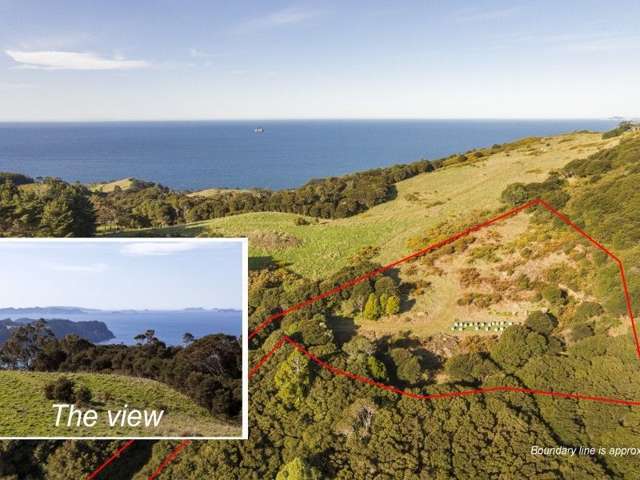 425l Boat Harbour Road Whenuakite_1