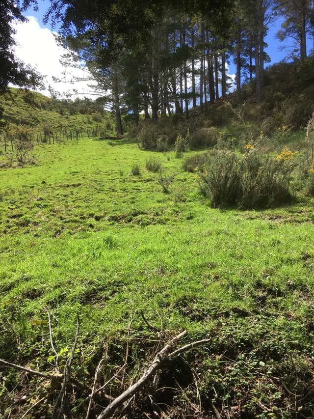 3820 State Highway 1 Towai_1