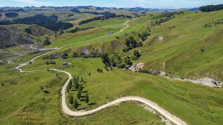 1543 Annedale Road Tinui_12