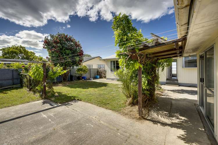 5 Plunket Street Tamatea_4