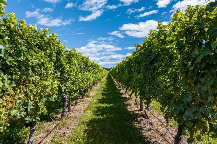 5 Brook Street North Renwick_23