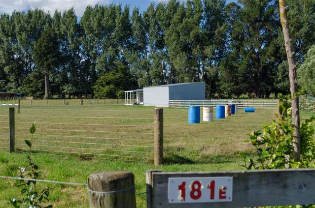 181e Willow Park Drive Opaki_1