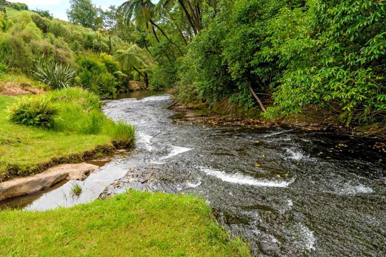 123 Adler Drive Ohauiti_8