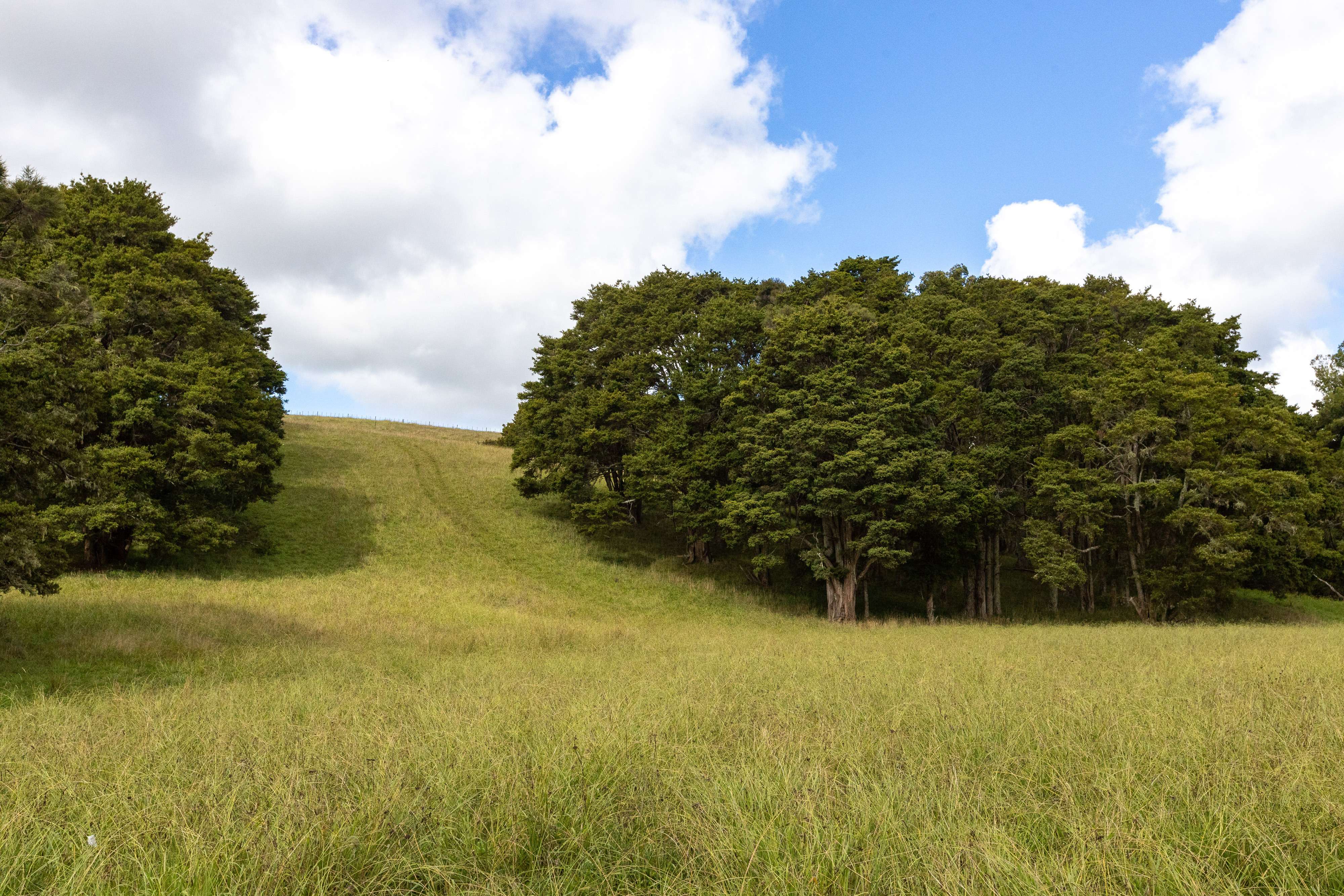 276 Rapson Road Kaukapakapa Rodney Rural Property For Sale One Roof